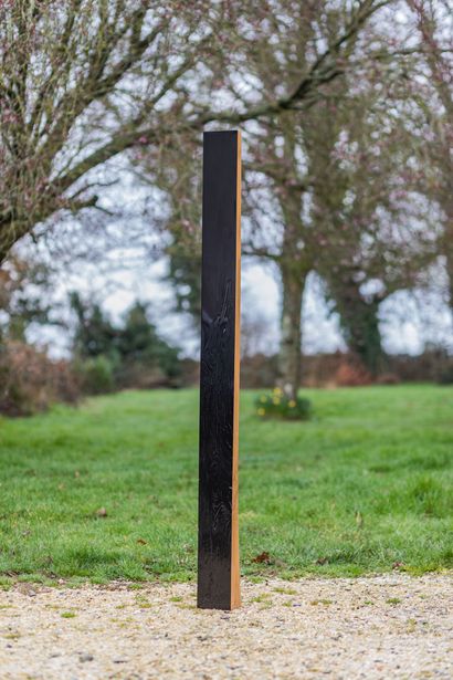 Antoine MINGUY 

Totem, 2009 

Châtaignier...