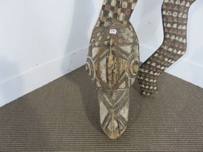 Gigantesque serpent, le corps est entièrement...