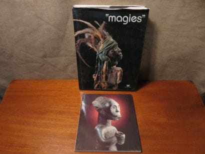 2 livres : La voie des ancêtres Musée Dapper...