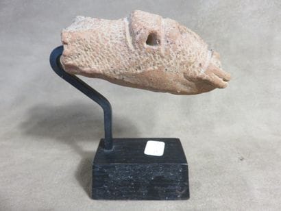 Ancienne tête de serpent en terre cuite beige...