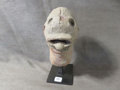 Tête d’homme reptile tirant la langue. Terre...