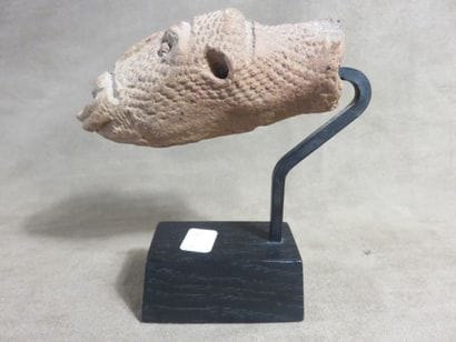 Ancienne tête de serpent en terre cuite beige...