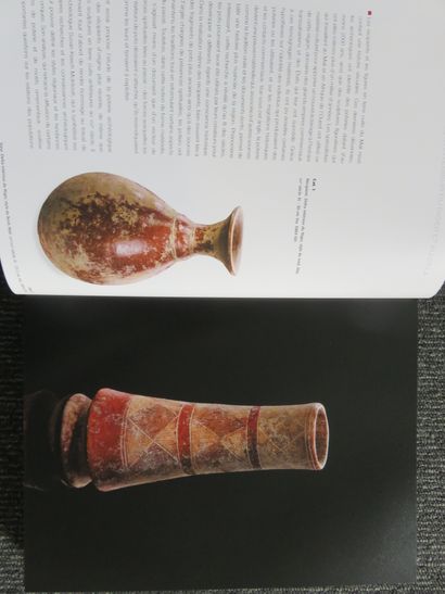 2 livres : Terres cuites africaines musée...