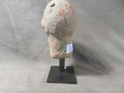 Tête d’homme reptile tirant la langue. Terre...