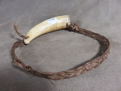 A necklace made of polished sperm whale tooth...