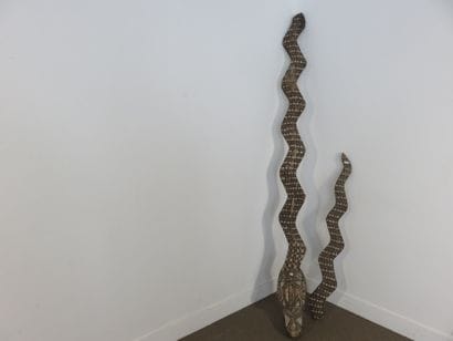Gigantesque serpent, le corps est entièrement...