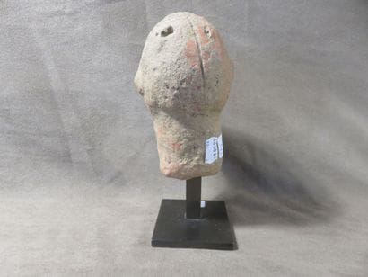 Tête d’homme reptile tirant la langue. Terre...