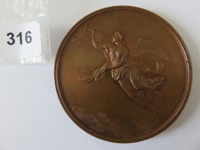 Médaille - Annales de l'Enregistrement, fondées...