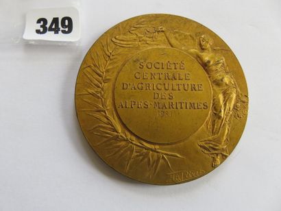 Médaille - Société Centrale d'Agriculture...