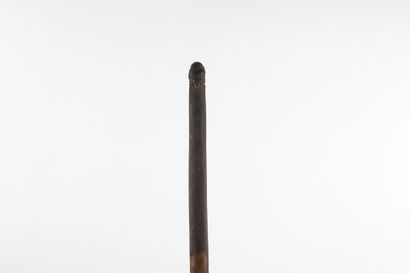 Ancien propulseur à lance. Bois, fibres et...