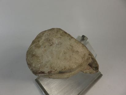 Head of uraeus. Important fragment representing...