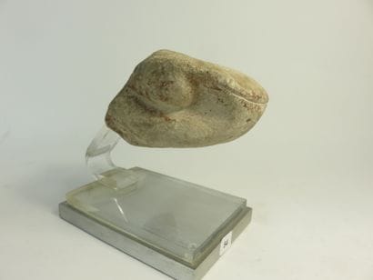 Head of uraeus. Important fragment representing...