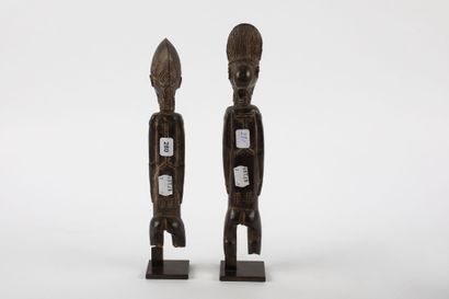 Couple of female and male ancestors standing...