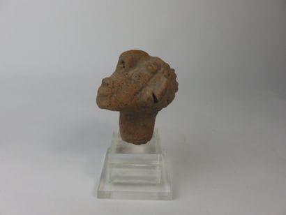 Tête d’homme. (fragment de statuette) Terre...