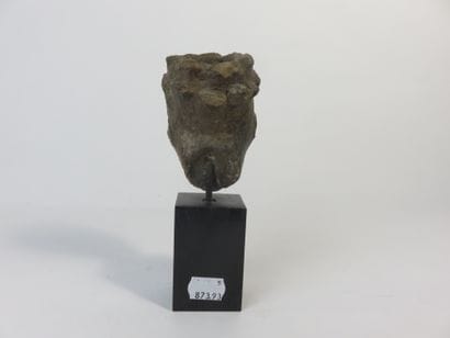 Tête portrait funéraire. Représentation d’un...
