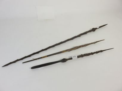 Lot de trois pointes de flèches. Bois de...