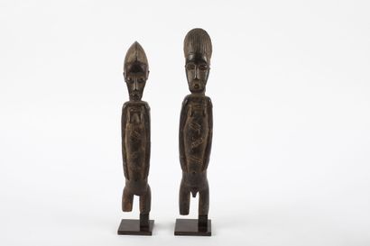 Couple of female and male ancestors standing...
