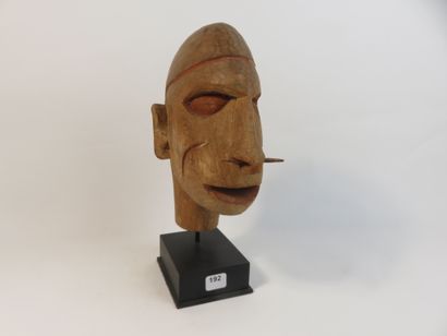 Tête avec ornement nasal. Bois léger, trace...