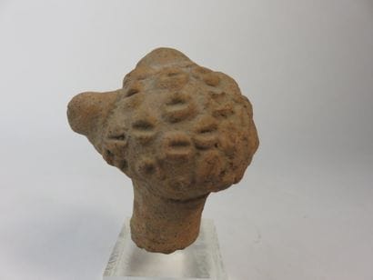 Tête d’homme. (fragment de statuette) Terre...