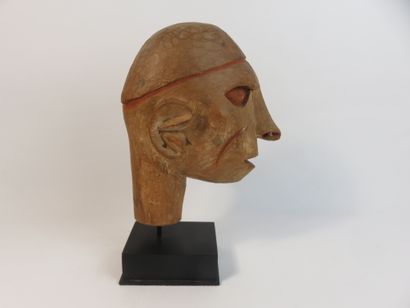 Tête avec ornement nasal. Bois léger, trace...
