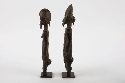 Couple of female and male ancestors standing...
