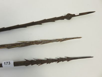 Lot de trois pointes de flèches. Bois de...