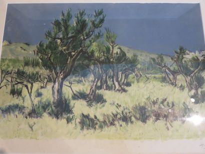HUMBLOT Robert, 1907-1962

Pinède et Vue...