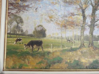GOBAILLE Jean, 1895-1969

Champ de vaches...