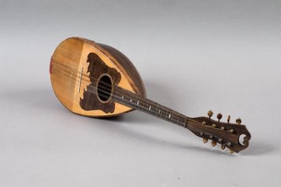 Mandolin bearing the label, FABBRICAZIONE...