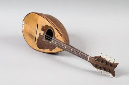 Mandolin with the label, FABBRICAZIONE ARTISTICA...