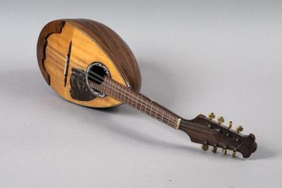 Mandolin bearing the label, PASQUALE FEBRARO...
