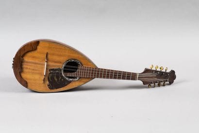Mandolin bearing the label, PASQUALE FEBRARO...