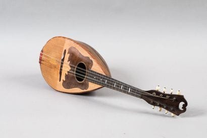 Mandolin bearing the label, FABBRICAZIONE...