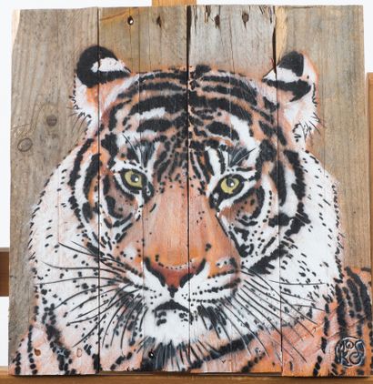 MOSKO 

Tigre de face, 2020

Acrylique et...