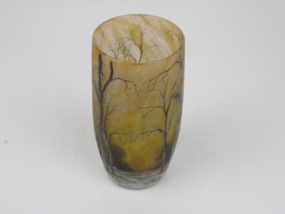DAUM Nancy

Vase en verre à décor d'un paysage...