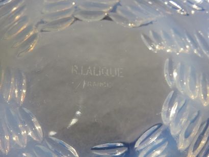 LALIQUE

Coupe ronde en verre moulé

Diam....