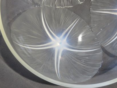 LALIQUE

Coupe 
