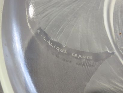 LALIQUE

Coupe 