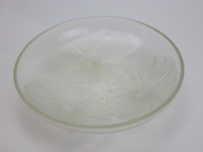 LALIQUE

Coupe 