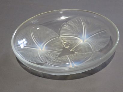 LALIQUE

Coupe 