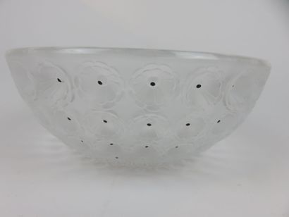 LALIQUE

Saladier 