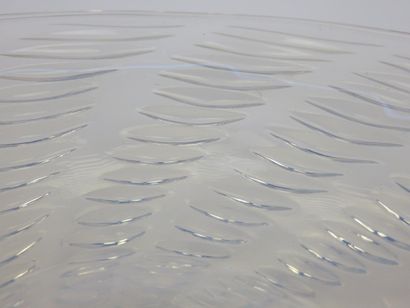 LALIQUE

Coupe ronde en verre moulé

Diam....