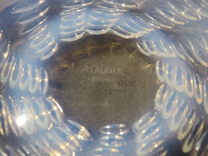 LALIQUE

Coupe ronde en verre moulé

Diam....