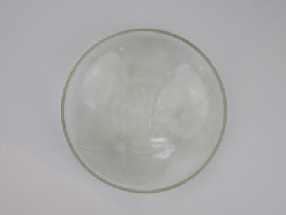 LALIQUE

Coupe 