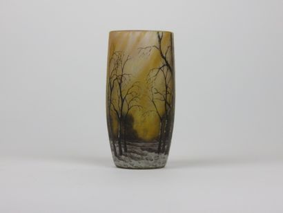 DAUM Nancy

Vase en verre à décor d'un paysage...