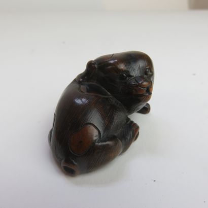 JAPON - Epoque EDO (1603 - 1868)

Netsuke...