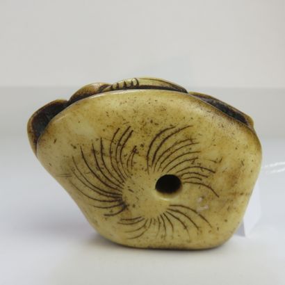 JAPON - XIXe siècle

Netsuke en corne de...