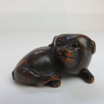 JAPON - Epoque EDO (1603 - 1868)

Netsuke...