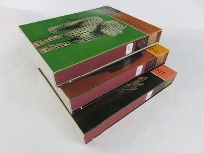 3 livres : l’ rt dans le monde, Indonésie,...