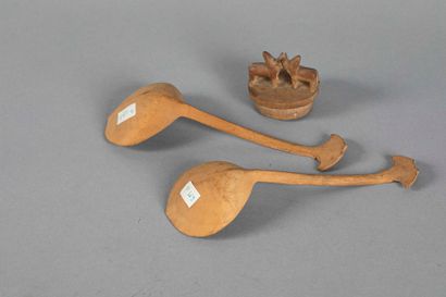Deux cuillères (20 et 21 cm.) et un couvercle...